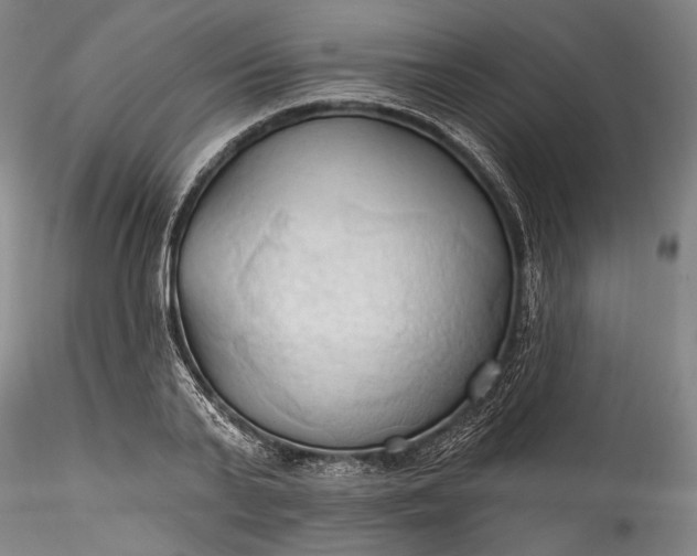 X0000115790791200911271226