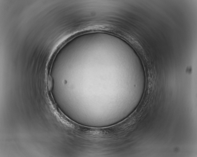 X0000115790792200911271226