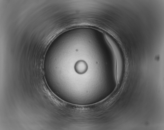 X0000115790793200911271226