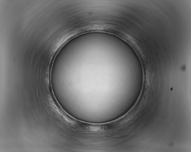 X0000115790794200911271226