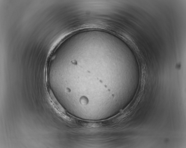 X0000115790796200911271226