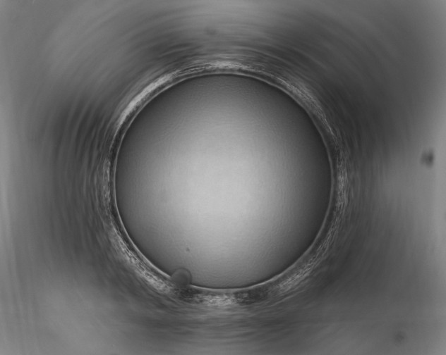 X0000115790798200911271226