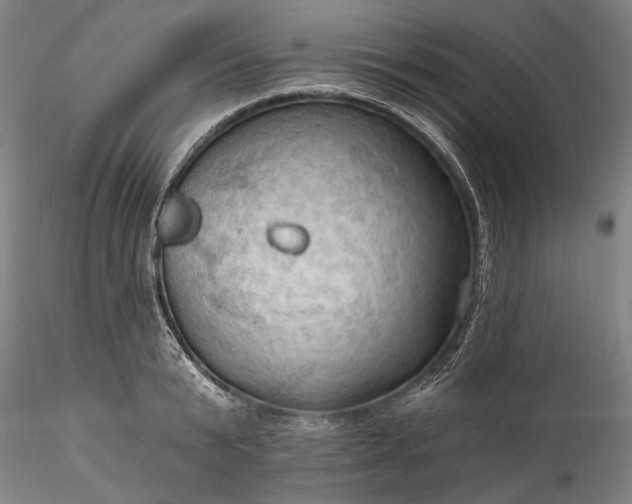 X0000115790799200911271226