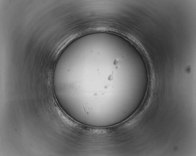 X0000115790801200911271225