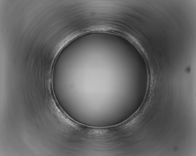 X0000115790802200911271225