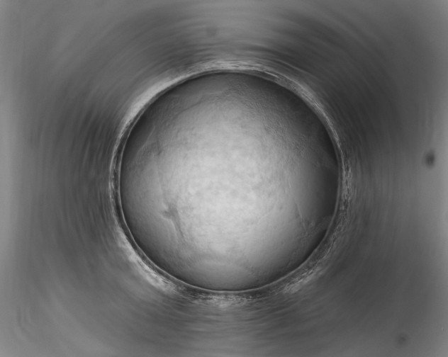 X0000115790803200911271225