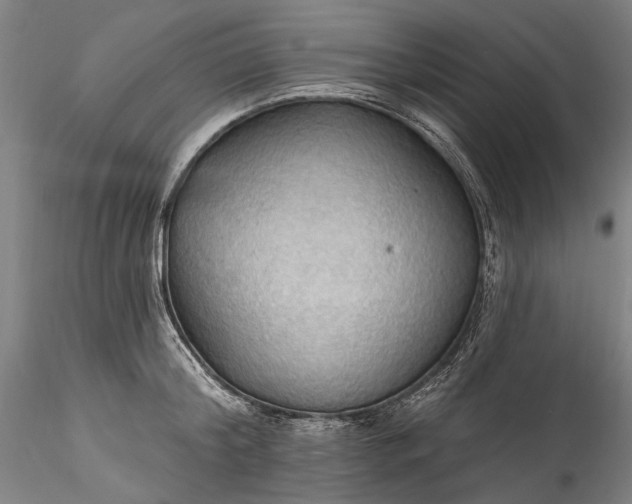 X0000115790804200911271225