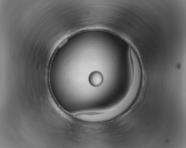 X0000115790805200911271225