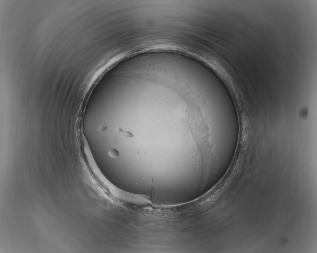 X0000115790806200911271225