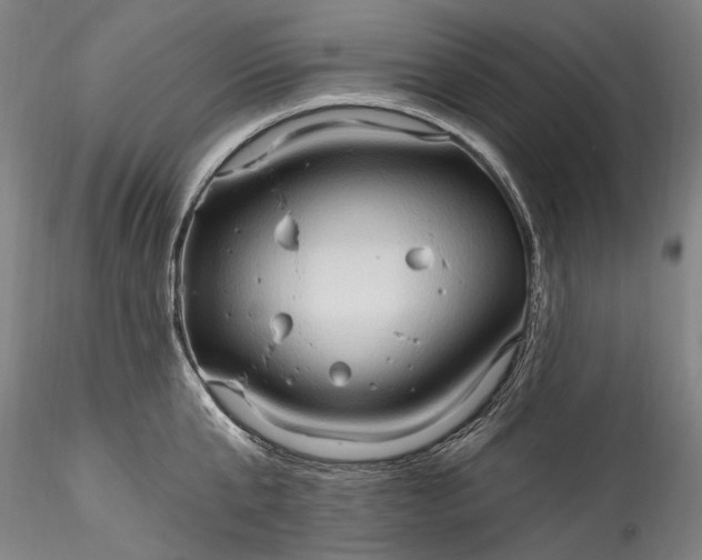 X0000115790807200911271225