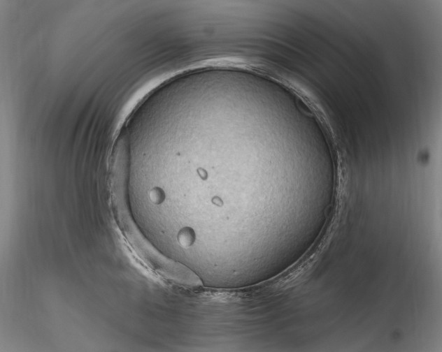 X0000115790808200911271225