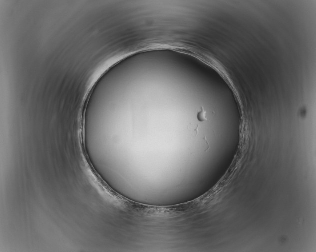 X0000115790811200911271225