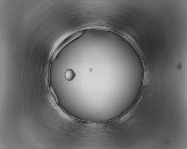 X0000115790812200911271225