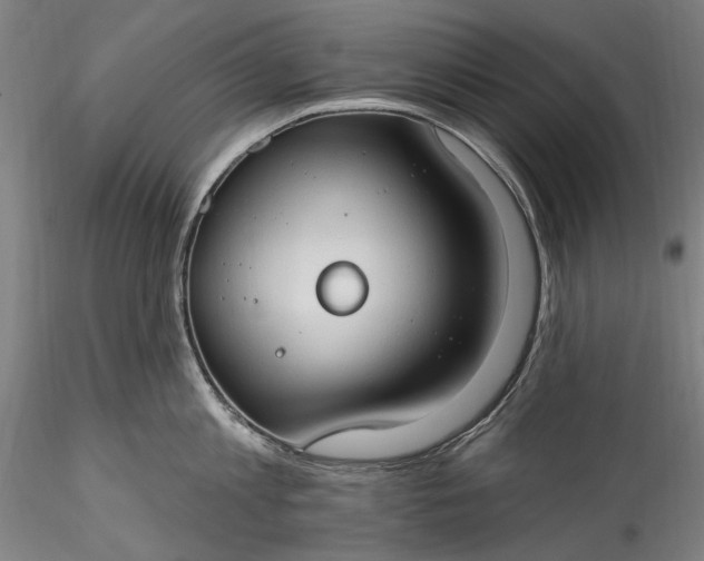 X0000115790813200911271225