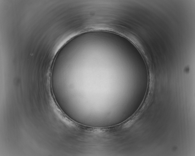 X0000115790814200911271225