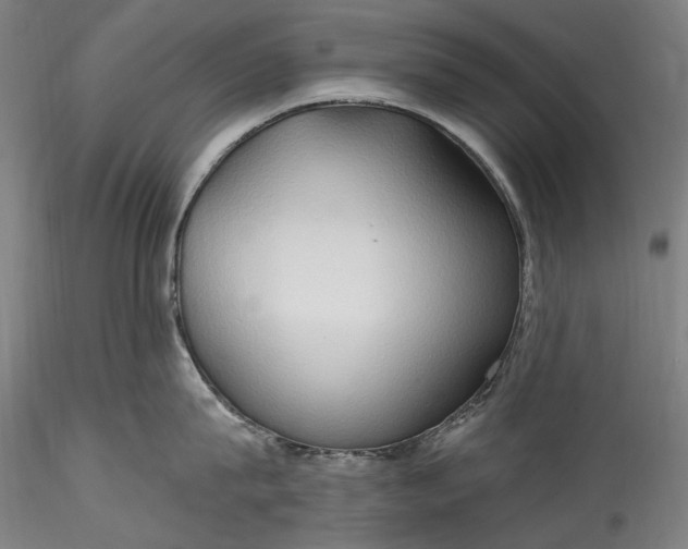 X0000115790815200911271225