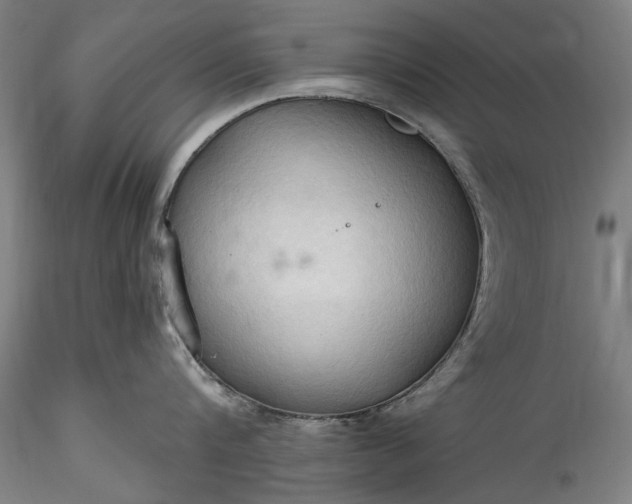 X0000115790816200911271225