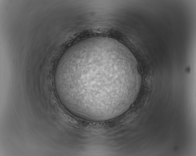 X0000115790817200911271224