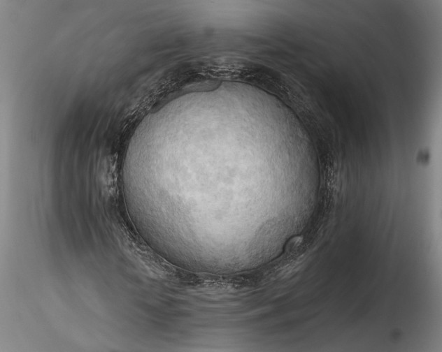 X0000115790818200911271224