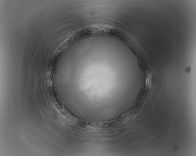 X0000115790819200911271224