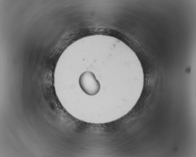 X0000115790820200911271224