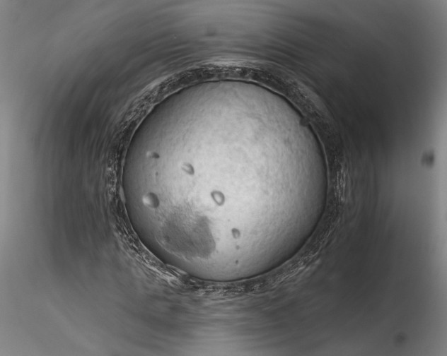 X0000115790821200911271225