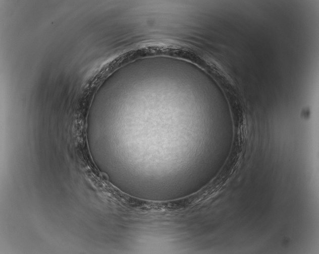 X0000115790822200911271225