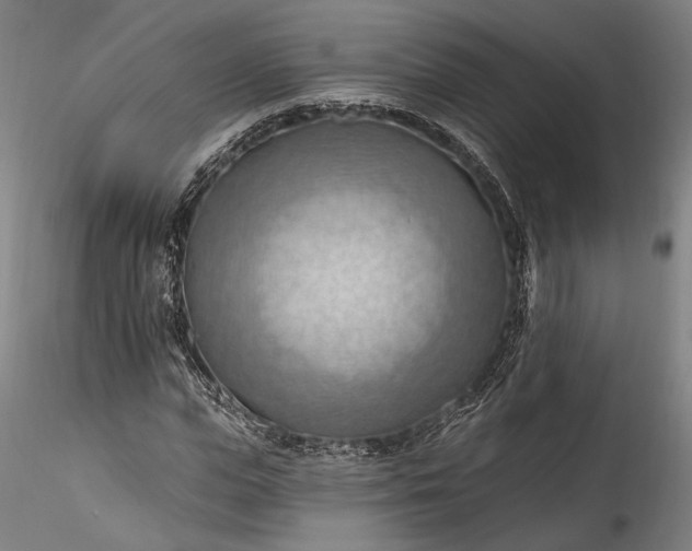 X0000115790823200911271225