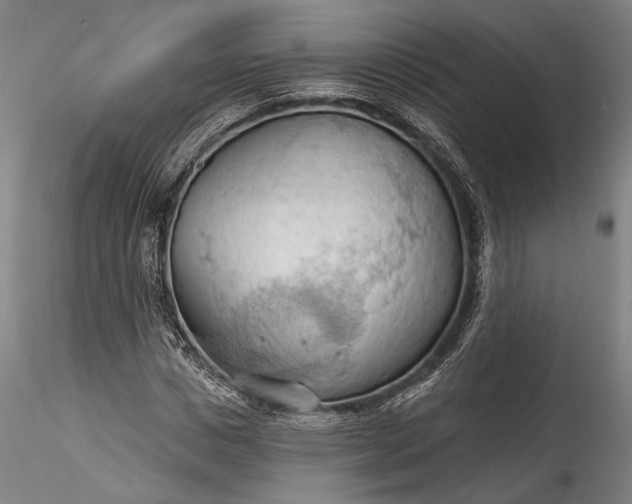 X0000115790825200911271225