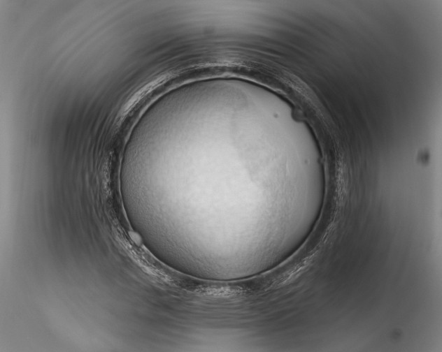 X0000115790826200911271225