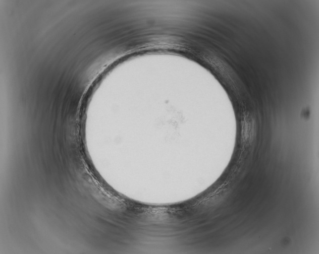 X0000115790828200911271225