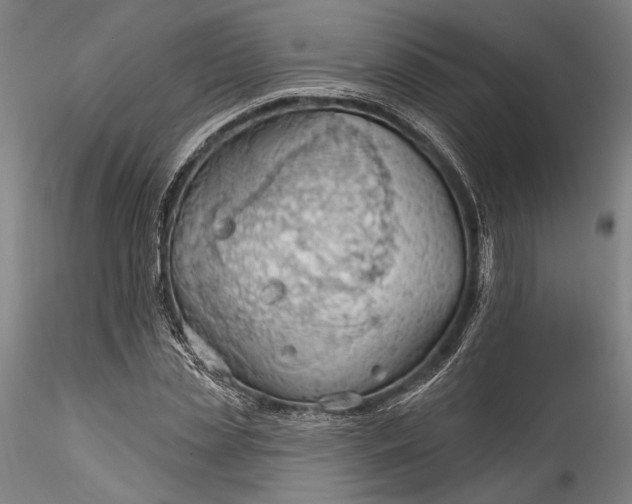 X0000115790829200911271225