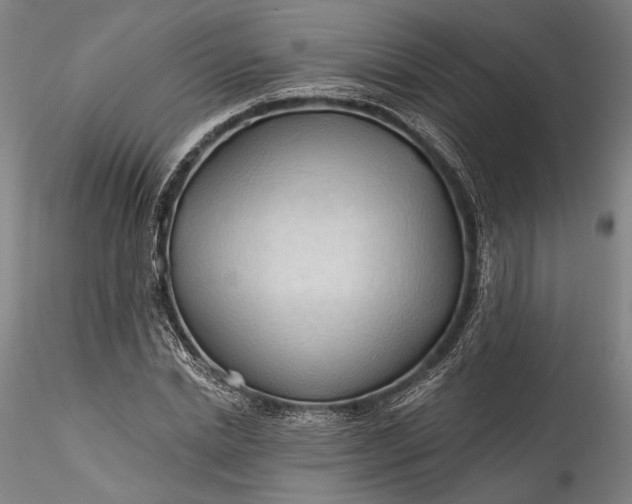 X0000115790830200911271225