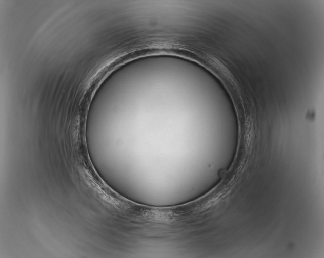 X0000115790831200911271225