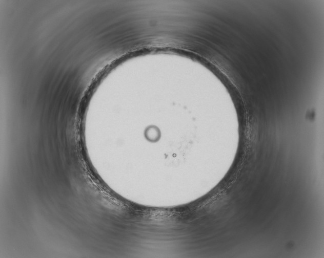 X0000115790832200911271225