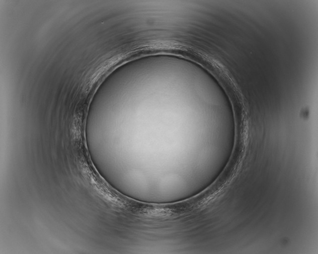 X0000115790833200911271225