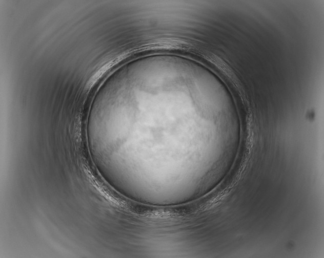 X0000115790834200911271225