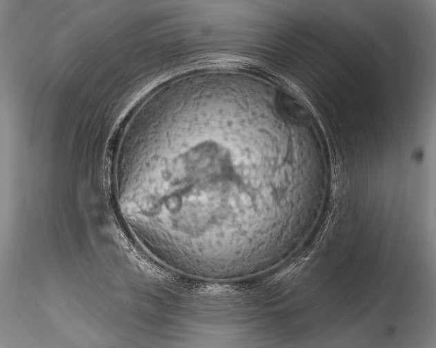 X0000115790835200911271225