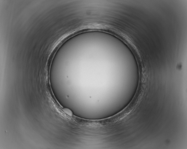 X0000115790837200911271225