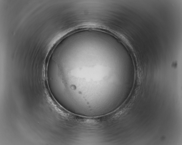 X0000115790839200911271225