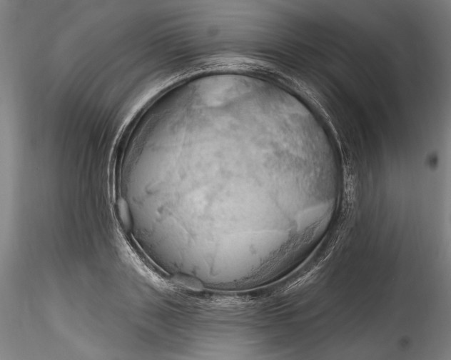 X0000115790843200911271225