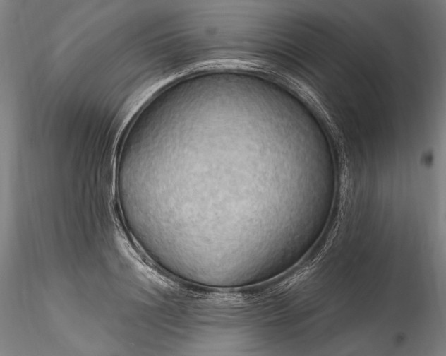 X0000115790844200911271225