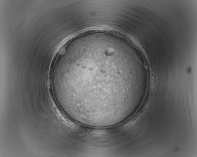 X0000115790845200911271225