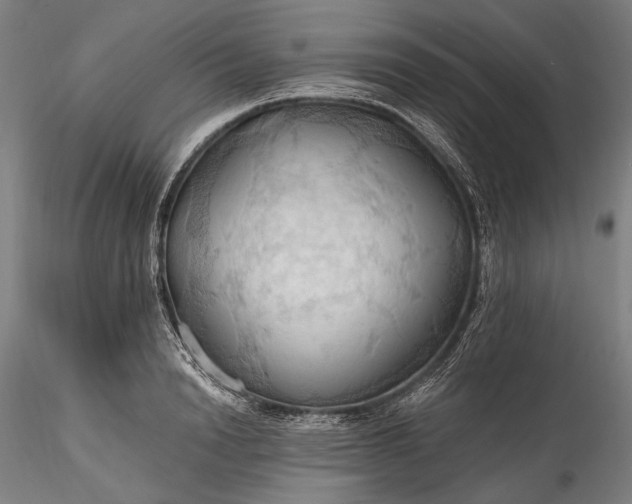 X0000115790846200911271225