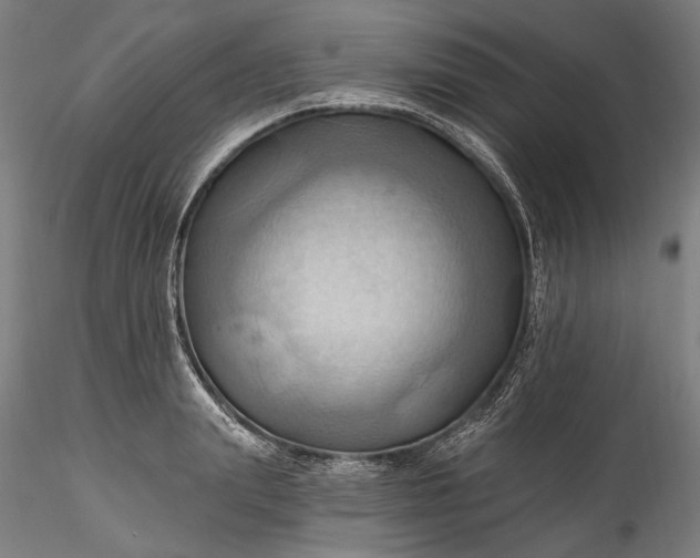 X0000115790847200911271225