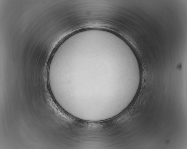 X0000115790848200911271225