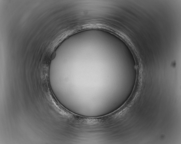 X0000115790849200911271225