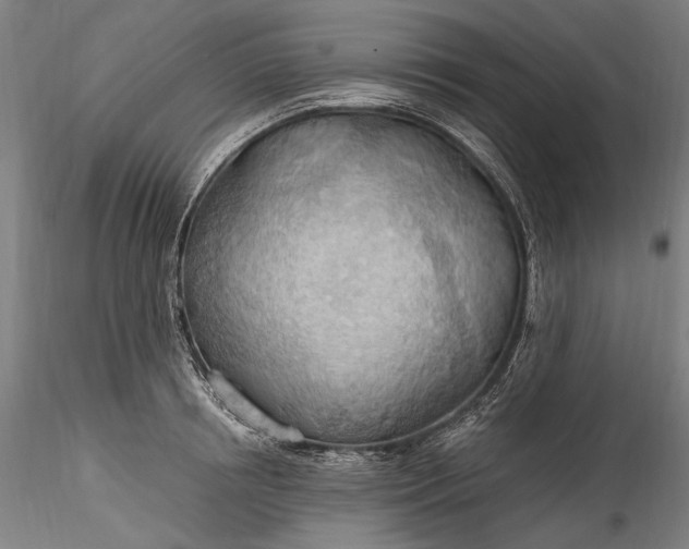 X0000115790850200911271225