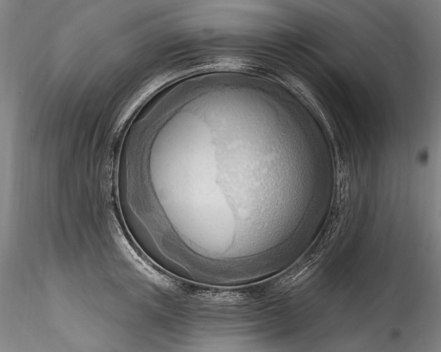 X0000115790851200911271225