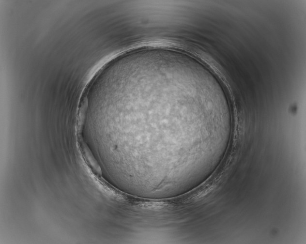 X0000115790853200911271225